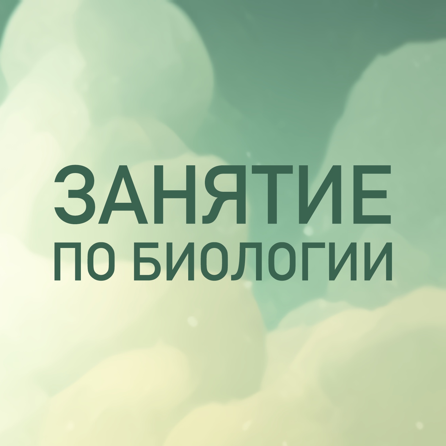 Друзья, рады представить вам уникальный проект Осколкова Дамира Эльшановича - бесплатная онлайн-школа по биологии для учащихся!.